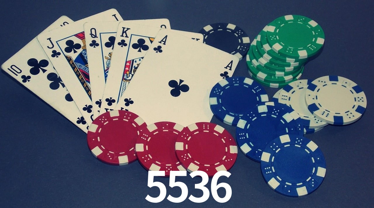 Experiência VIP 5536